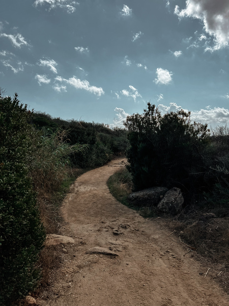 Cosa fare all'Isola del Giglio